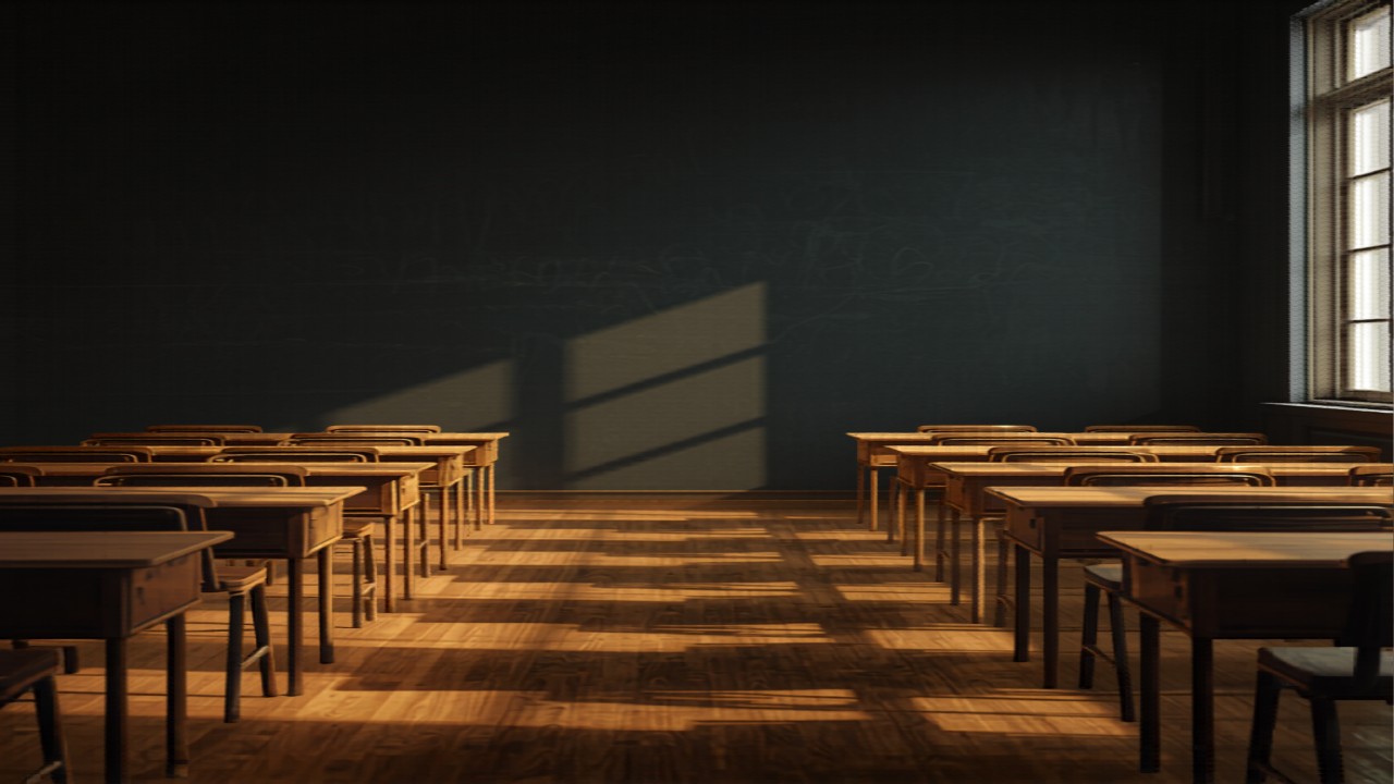 Bayswater Support: sociale transitie op school — het meest recente advies (2023)