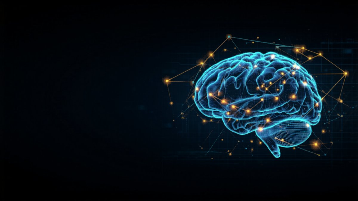 Stanford-studie: AI herkent biologisch geslacht uit hersenscans met 90% nauwkeurigheid