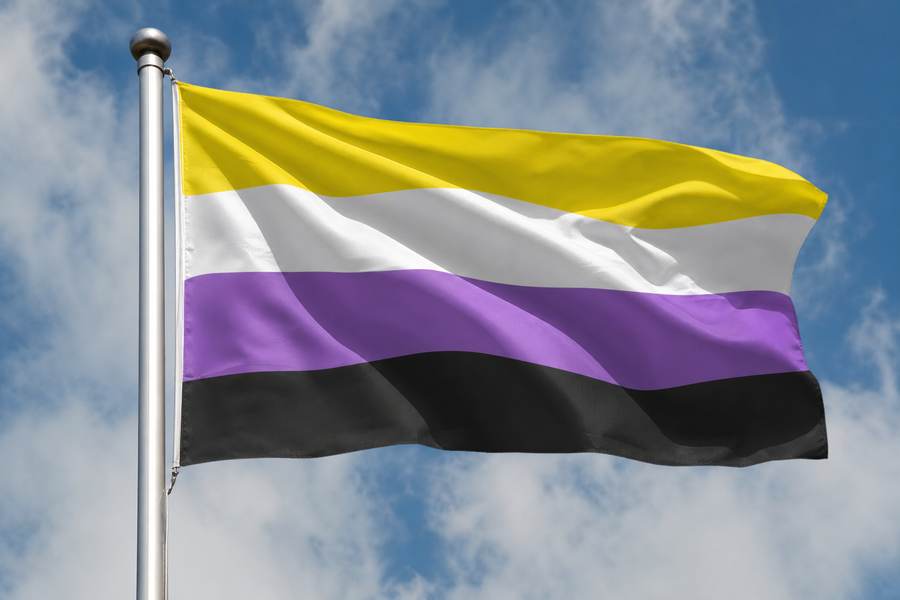 De non-binaire vlag: kleuren en betekenis